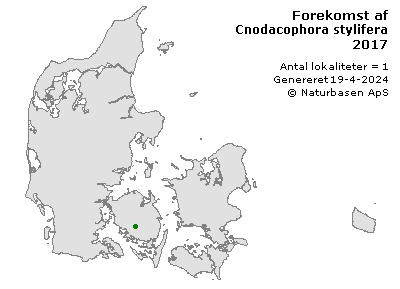 Cnodacophora stylifera - udbredelseskort