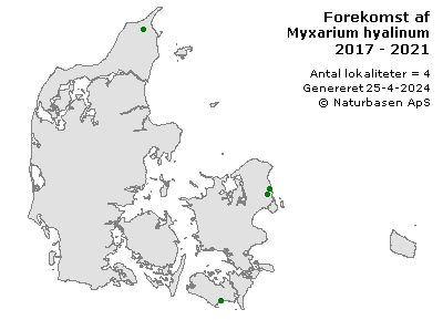 Myxarium hyalinum - udbredelseskort
