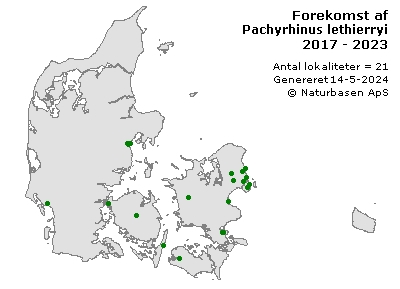 Pachyrhinus lethierryi - udbredelseskort