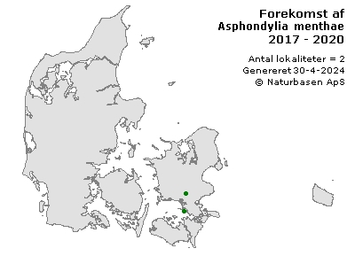 Asphondylia menthae - udbredelseskort