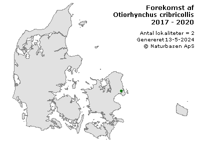 Otiorhynchus cribricollis - udbredelseskort