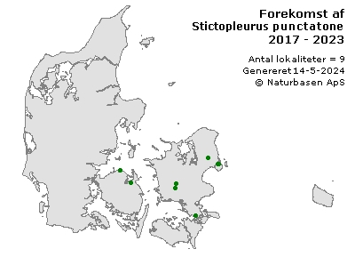 Stictopleurus punctatonervosus - udbredelseskort