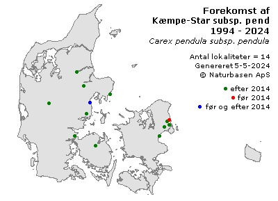 Kæmpe-Star subsp. pendula - udbredelseskort