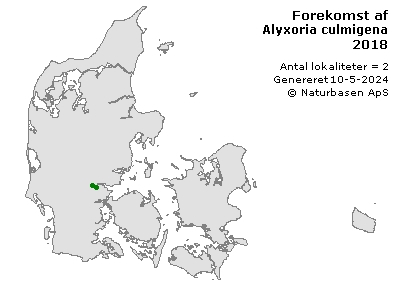Alyxoria culmigena - udbredelseskort