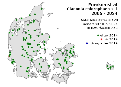 Cladonia chlorophaea s. lat. - udbredelseskort