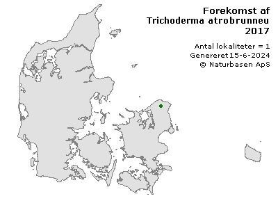 Trichoderma atrobrunneum - udbredelseskort