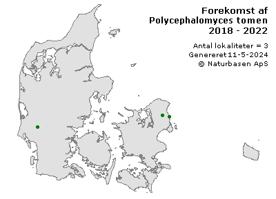 Polycephalomyces tomentosus - udbredelseskort
