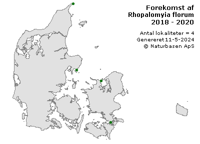 Rhopalomyia florum - udbredelseskort