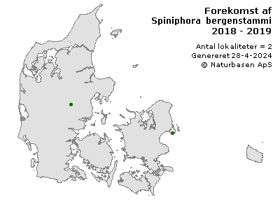 Spiniphora bergenstammi  - udbredelseskort