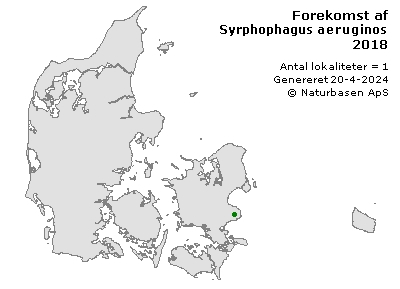 Syrphophagus aeruginosus - udbredelseskort