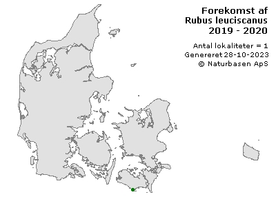Rubus leuciscanus - udbredelseskort