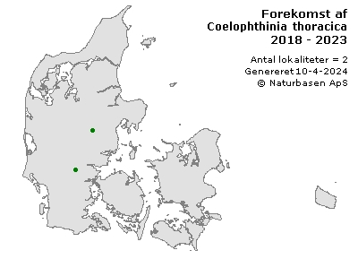 Coelophthinia thoracica - udbredelseskort