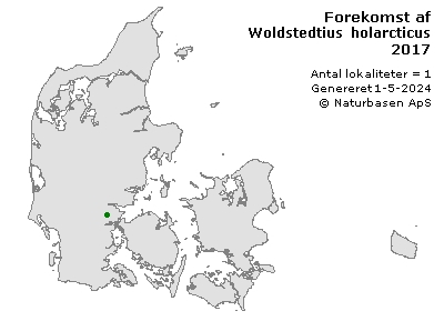 Woldstedtius holarcticus - udbredelseskort