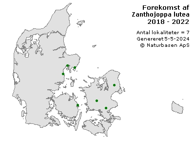 Zanthojoppa lutea - udbredelseskort
