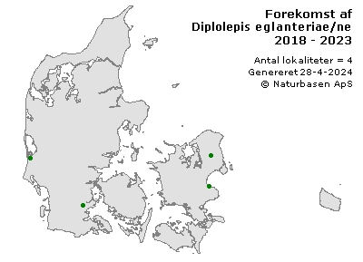 Diplolepis eglanteriae/nervosa - udbredelseskort