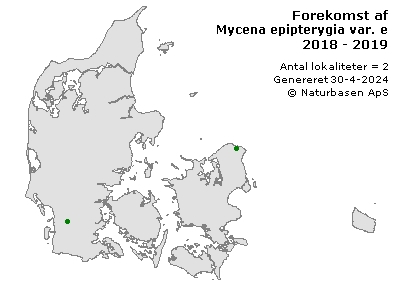 Mycena epipterygia var. epipterygia - udbredelseskort
