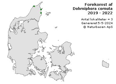 Dohrniphora cornuta - udbredelseskort