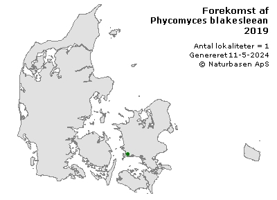 Phycomyces blakesleeanus - udbredelseskort