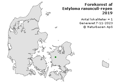Entyloma ranunculi-repentis - udbredelseskort