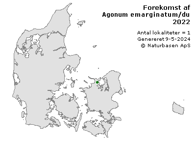 Agonum emarginatum/duftschmidi - udbredelseskort