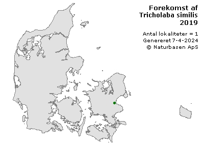 Tricholaba similis - udbredelseskort