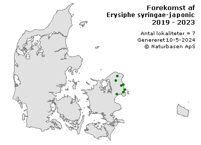 Erysiphe syringae-japonicae - udbredelseskort
