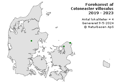 Cotoneaster villosulus - udbredelseskort