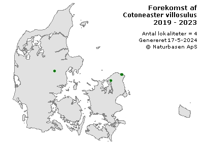 Cotoneaster villosulus - udbredelseskort