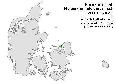 Mycena adonis var. coccinea - udbredelseskort