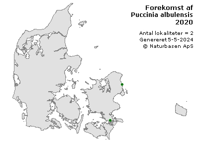 Puccinia albulensis - udbredelseskort