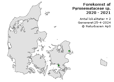 Pyronemataceae sp. - udbredelseskort