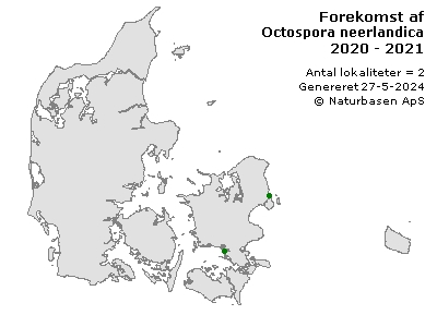 Octospora neerlandica - udbredelseskort