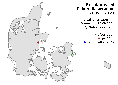 Euborellia arcanum - udbredelseskort
