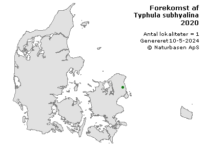 Typhula subhyalina - udbredelseskort