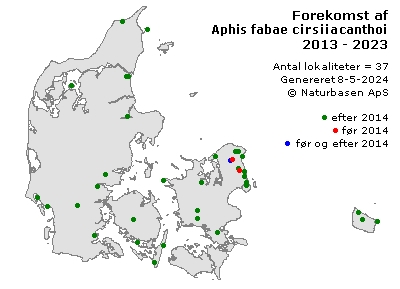 Aphis fabae cirsiiacanthoides - udbredelseskort