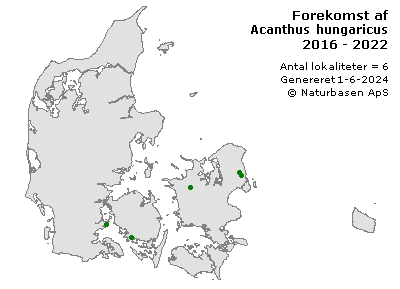 Acanthus hungaricus - udbredelseskort
