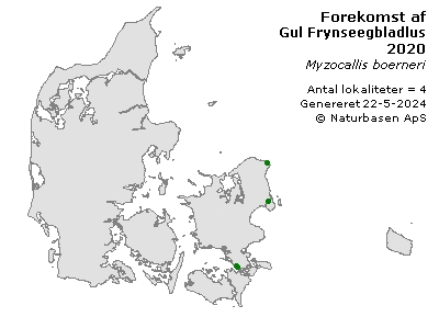 Gul Frynseegbladlus - udbredelseskort