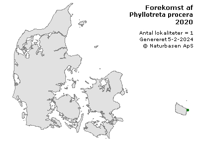 Phyllotreta procera - udbredelseskort