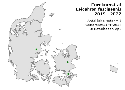 Leiophron fascipennis  - udbredelseskort