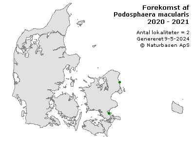 Podosphaera macularis - udbredelseskort