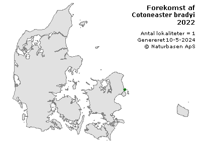 Cotoneaster bradyi - udbredelseskort