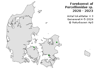 Porcellionidae sp. - udbredelseskort