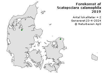 Scatopsciara calamophila - udbredelseskort