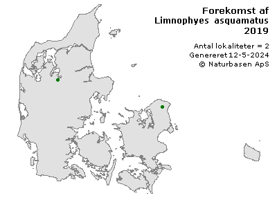 Limnophyes asquamatus - udbredelseskort