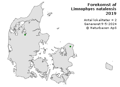 Limnophyes natalensis - udbredelseskort