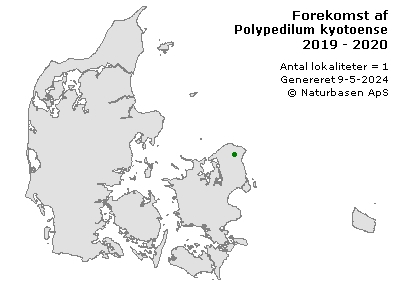 Polypedilum kyotoense - udbredelseskort