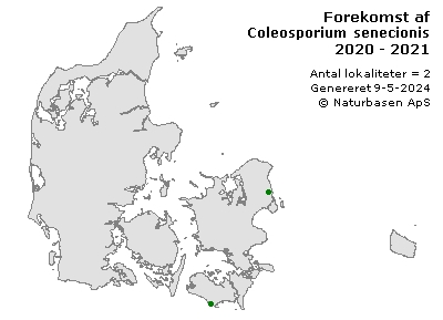 Coleosporium senecionis - udbredelseskort