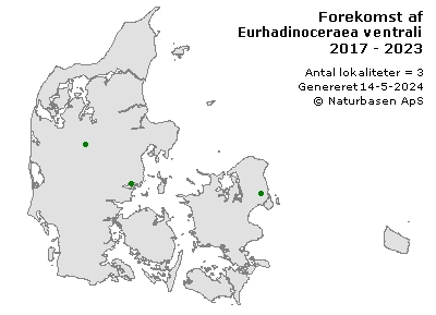 Eurhadinoceraea ventralis - udbredelseskort