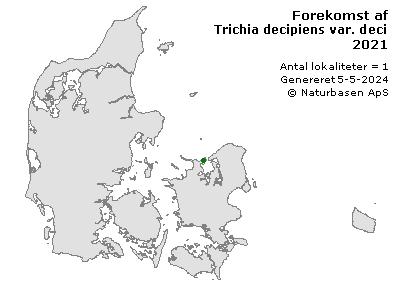 Trichia decipiens var. decipens - udbredelseskort