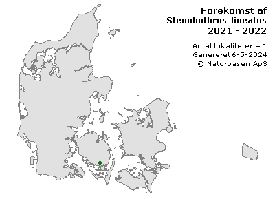 Stenobothrus lineatus - udbredelseskort